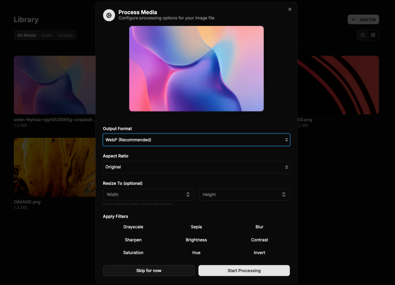 Media processing interface showing file optimization options