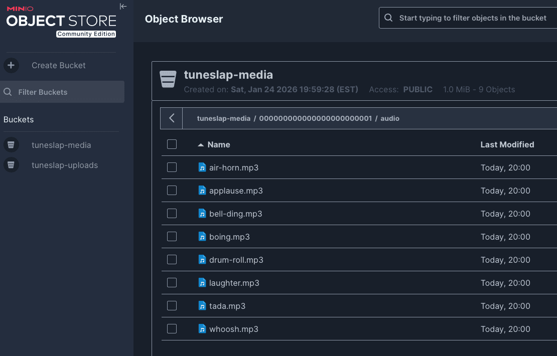 Self-hosted S3 compatible storage with MinIO console showing uploaded media
